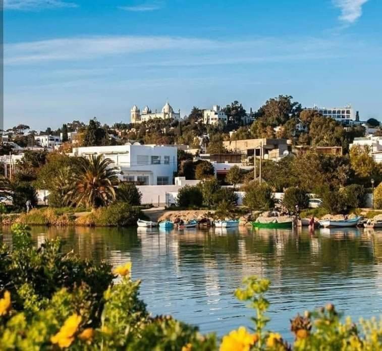 Appartement A Carthage Byrsa Экстерьер фото
