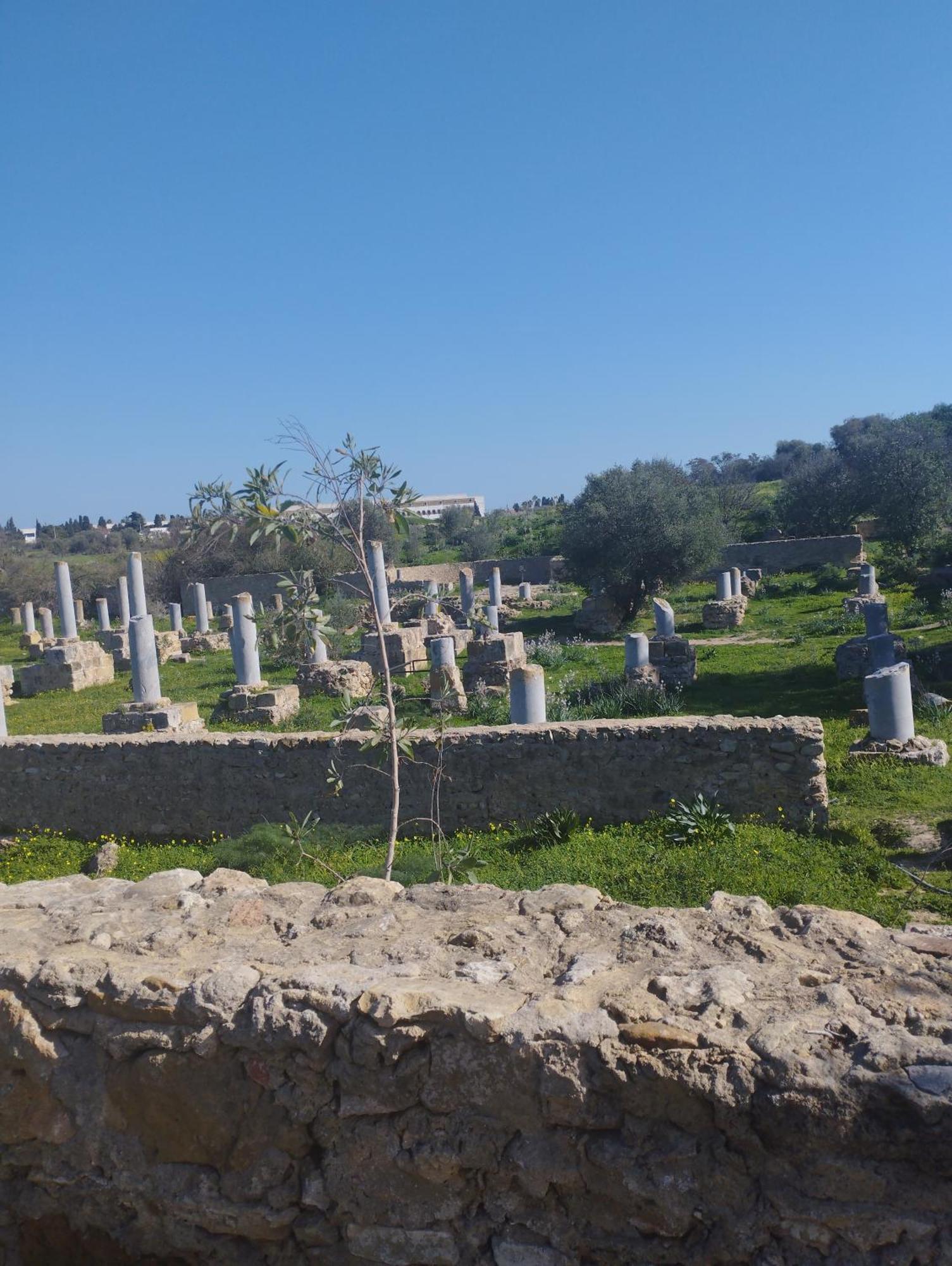 Appartement A Carthage Byrsa Экстерьер фото